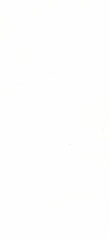 Egg White Plain Laminate 8x4 ft Texture 1 mm - 11002 NPL