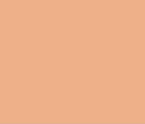 11038 SMT Porters Brown 8 ft x 4 ft Matte Finish Decorative Laminate - 1 mm