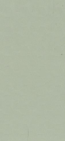 Thai Green Plain Laminate 8x4 ft Texture 1 mm - 11059 HC
