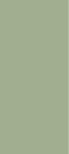 Root Green Plain Laminate 8x4 ft High Gloss 1 mm - 11061 SHG