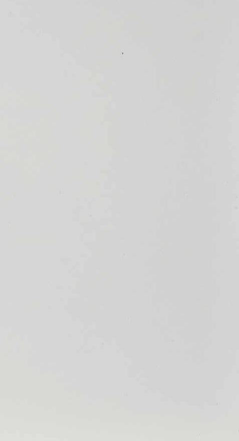 Frosty White Plain Laminate 8x4 ft Texture 1 mm - 111 AFP