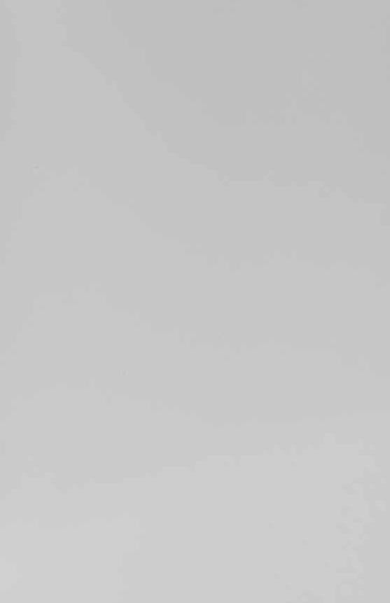 Frosty White Plain Laminate 8x4 ft Texture 1 mm - 111 AL