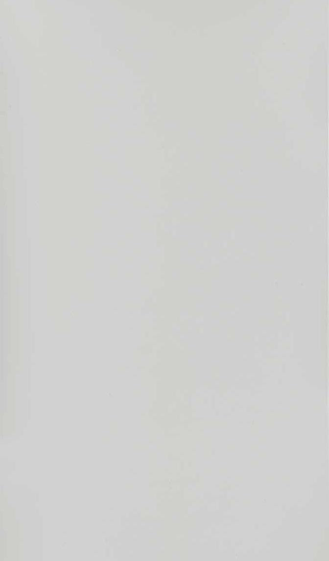 Decorative Laminates Frosty White 8x4 ft Texture plain colors laminates White 111_GL