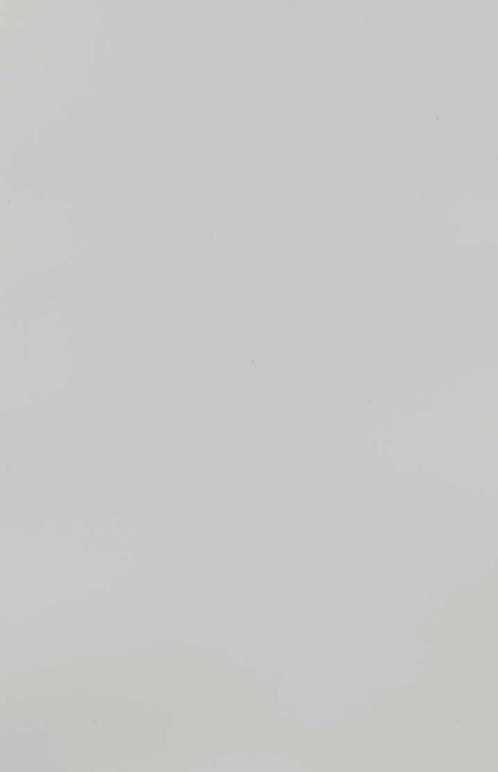 Frosty White Plain Laminate 8x4 ft Texture 1 mm - 111 N