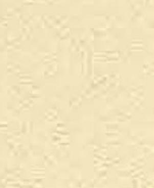lvory Designer Laminate 8x4 ft 0.8 mm - 1121 SUD
