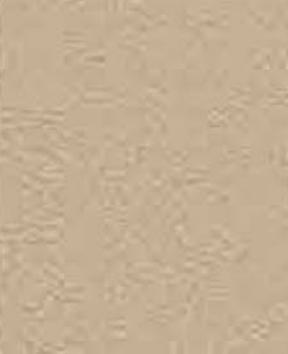 Greenlam Beige 8x4 ft designer laminates Beige 1140_SUD