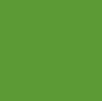 Solid Color Parrot Green Plain Laminate 8x4 ft High Gloss 0.8 mm - 1142 HG
