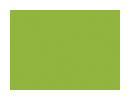 Fresh Green Plain Laminate 8x4 ft High Gloss 1 mm - 1157 HG