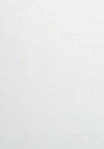 Advance Laminates Frosty White 8x4 ft Texture plain colors laminates White 115_FQ