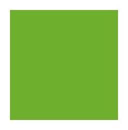 Green Plain Laminate 8x4 ft Texture 1 mm - 1164 PU
