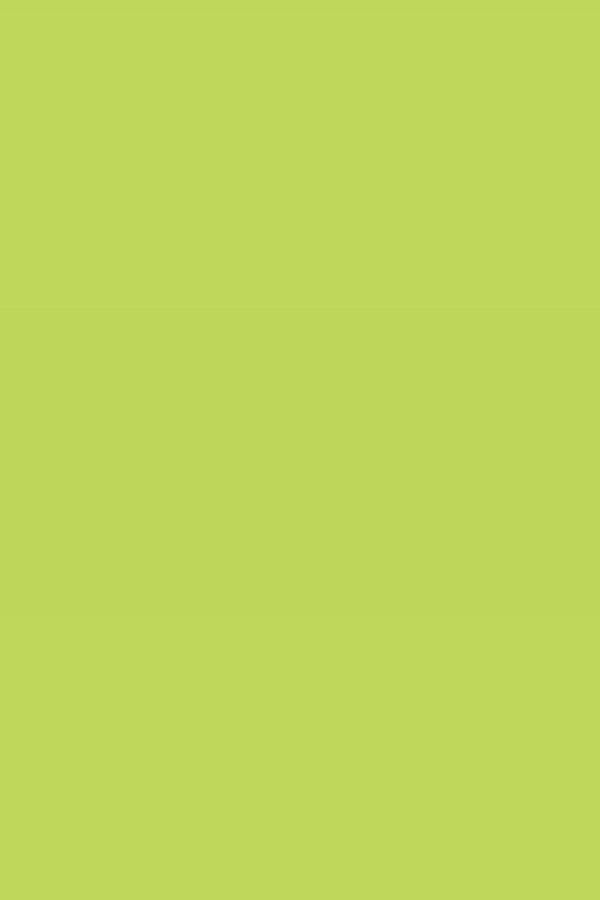 Lime Plain Laminate 8x4 ft High Gloss 1 mm - 117 SMR