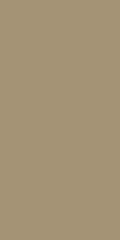 Designer Laminate 8x4 ft Texture 0.8 mm - 117 TR