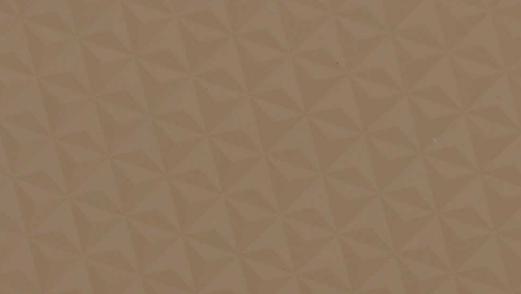 Designer Laminate 8x4 ft Texture 0.8 mm - 117 TR