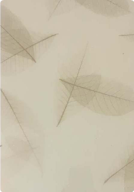 Designer Laminate 8x4 ft High Gloss 1 mm - 118 Neuro