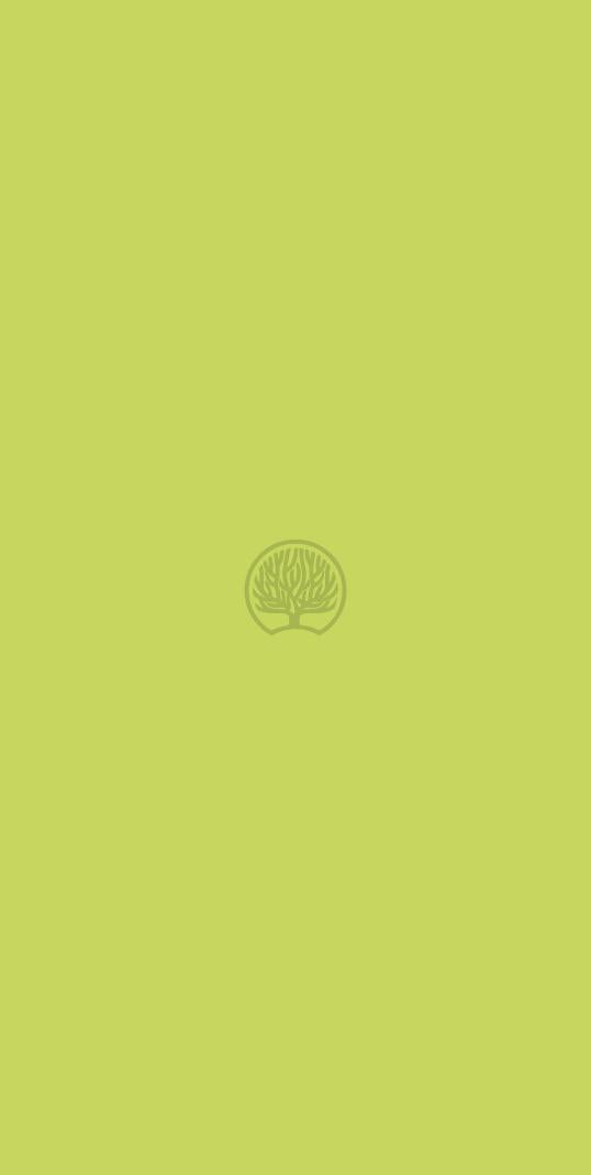 colourful palate Plain Laminate 8x4 ft Suede 1 mm - 1190 SD