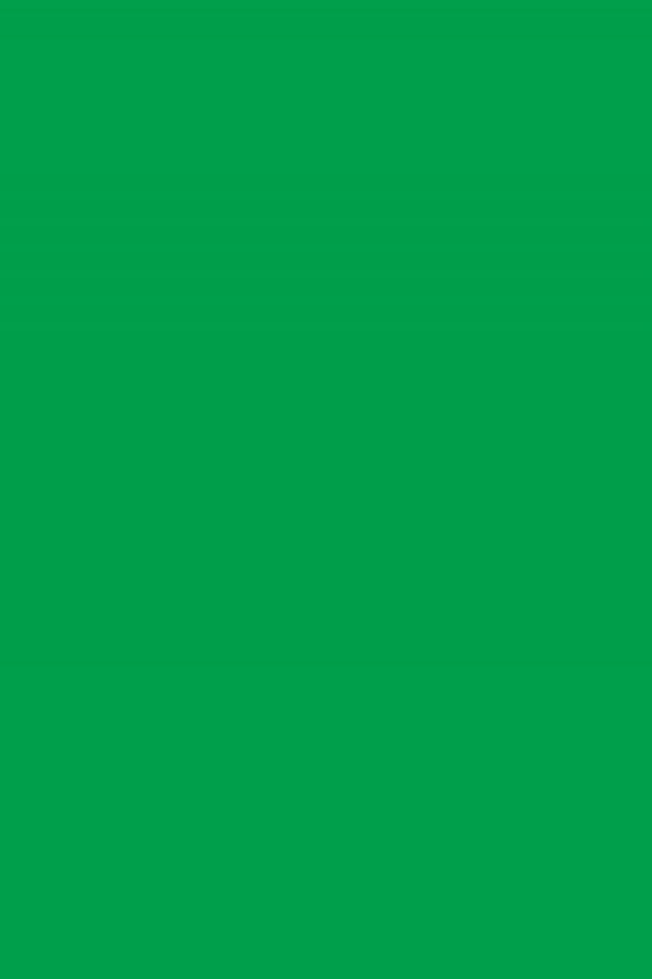 Lawn Green Plain Laminate 8x4 ft High Gloss 1 mm - 119 SMR
