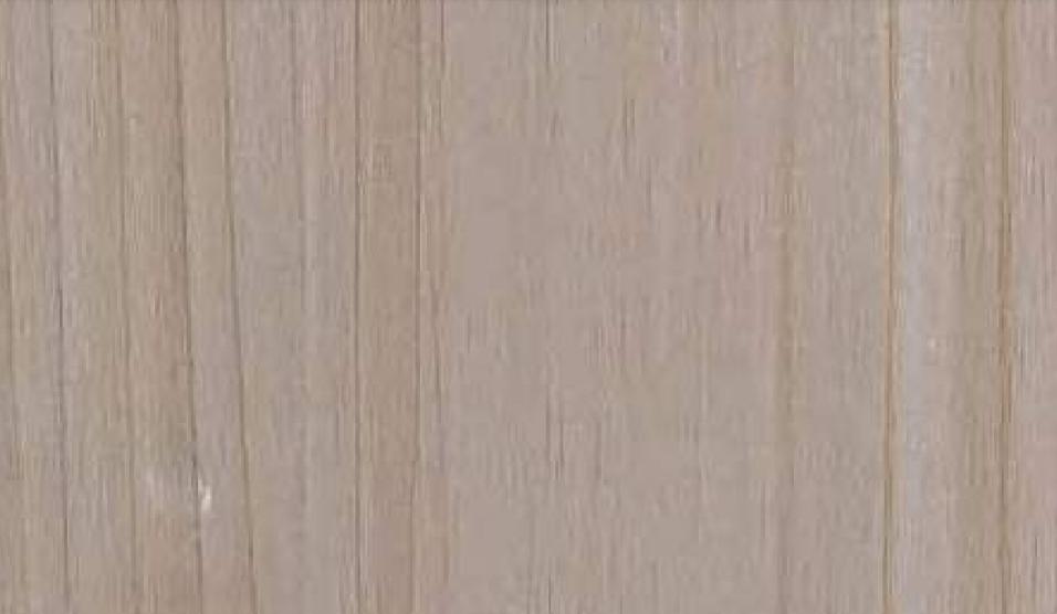 12017 HG Tulip Fantasy 8 ft x 4 ft High Gloss Finish Decorative Laminate - 1 mm