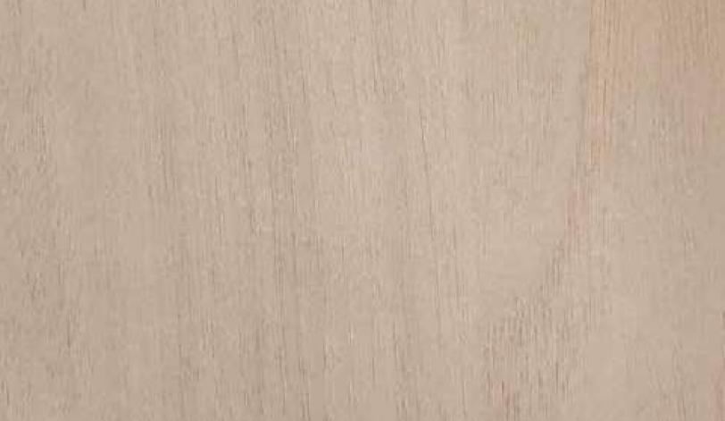 12025 SMT Butternut 8 ft x 4 ft Matte Finish Decorative Laminate - 1 mm