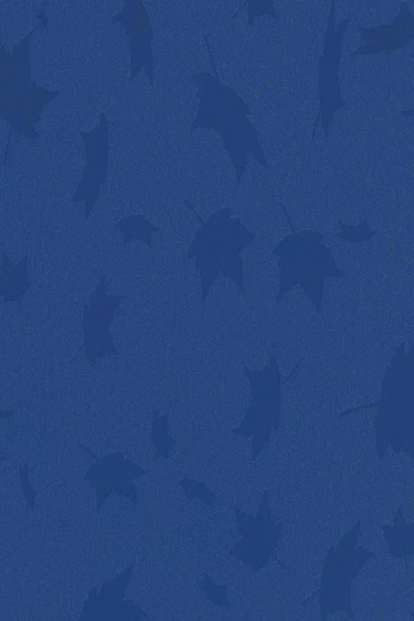 Polar Blue Designer Laminate 8x4 ft Texture 1 mm - 127 PTL
