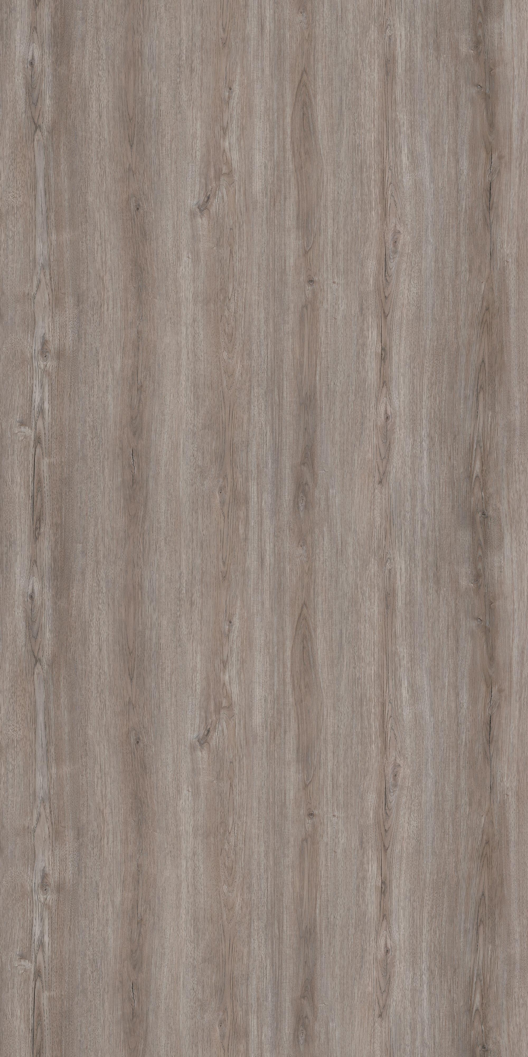 Timor Oak Wood Laminate 8x4 ft Texture 0.8 mm - 13021 WCT