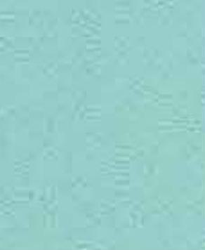 Mint Green Designer Laminate 8x4 ft 0.8 mm - 1309 SUD