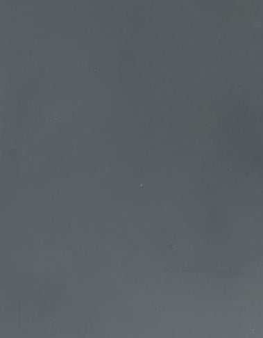 Plain Laminate 8x4 ft Super Matte 1 mm - 1317 SMT