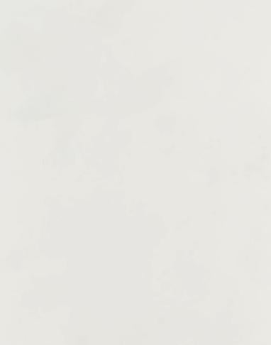 Plain Laminate 8x4 ft Super Matte 1 mm - 1320 SMT