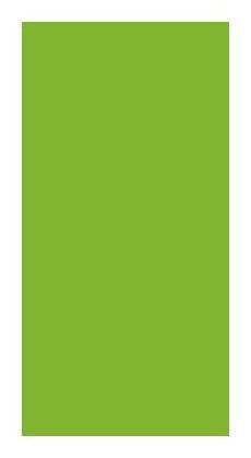 Liner Natural Wonders Parrot Plain Laminate 8x4 ft High Gloss 0.8 mm - 1340 HG