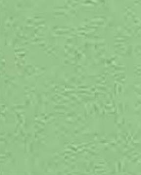 Fruit Green Designer Laminate 8x4 ft 0.8 mm - 1353 SUD