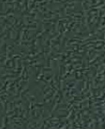 Greenlam Army Green 8x4 ft designer laminates Green 1354_SUD