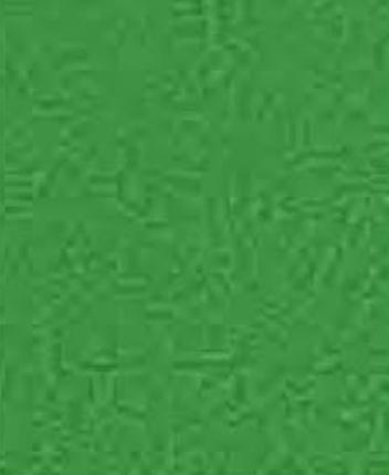 Tender Green Designer Laminate 8x4 ft 0.8 mm - 1360 SUD