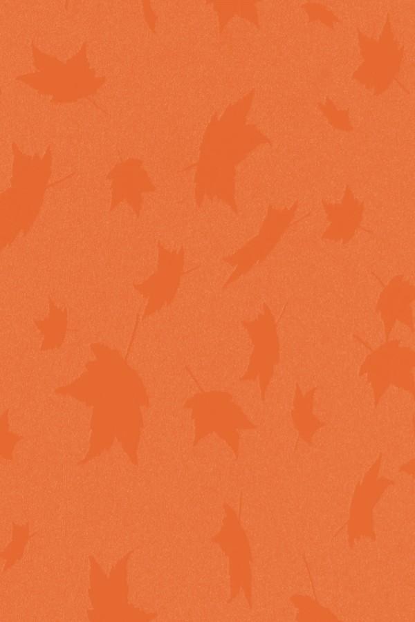 Orange Designer Laminate 8x4 ft High Gloss 1 mm - 139 COC