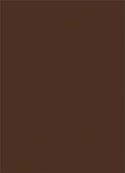 Glass Plain Laminate 8x4 ft 2 mm - 14004 8