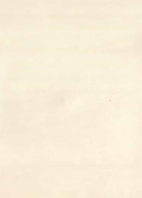 Glass Plain Laminate 8x4 ft 2 mm - 14101 8