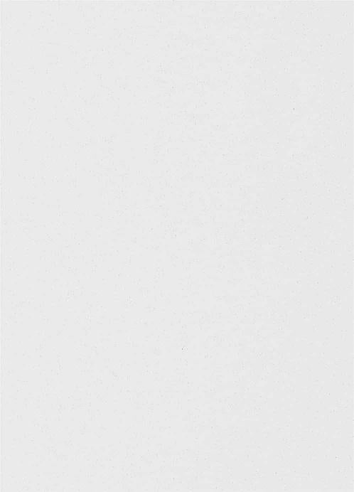 Glass Metallic Laminate 8x4 ft 2 mm - 14103 8