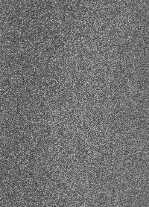 Glass Metallic Laminate 8x4 ft 2 mm - 14104 8