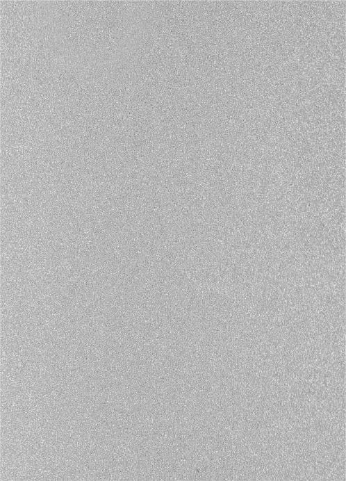 Glass Plain Laminate 8x4 ft 2 mm - 14109 8