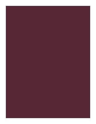 Stale Wine Plain Laminate 8x4 ft Texture 1 mm - 1423 PU