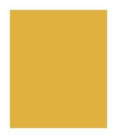 Mustard Yellow Plain Laminate 8x4 ft Texture 1 mm - 1442 PU