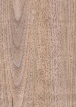 Cezarus Oak Wood Laminate 8x4 ft Texture 0.92 mm - 1451 A