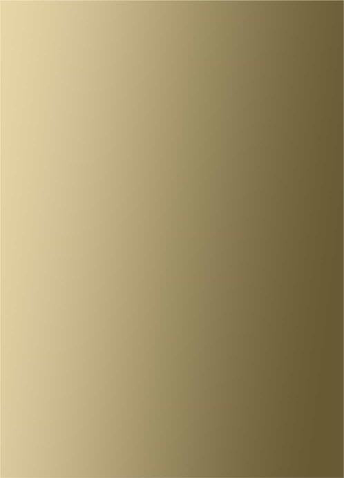 Glass Metallic Laminate 8x4 ft 1.5 mm - 14702 8