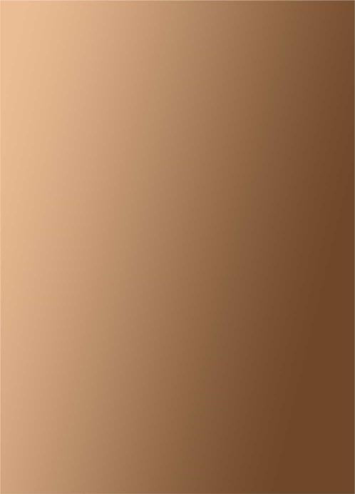 Glass Metallic Laminate 8x4 ft 1.5 mm - 14704 8
