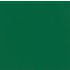 Sole Green Plain Laminate 8x4 ft Suede 1 mm - 149 SF