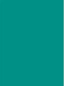 Poppy Plain Laminate 8x4 ft Suede 1 mm - 14 SF