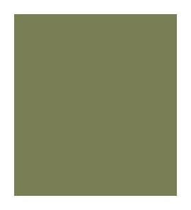 Deep Olive Plain Laminate 8x4 ft Texture 1 mm - 1582 PU