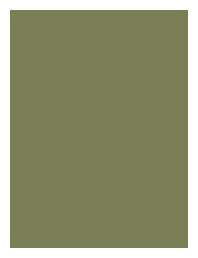 Sap Green Plain Laminate 8x4 ft Texture 1 mm - 1582 ST