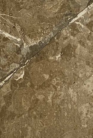 Greenlam Azara Marble 8x4 ft marble & stone laminates Brown 1585_PGL