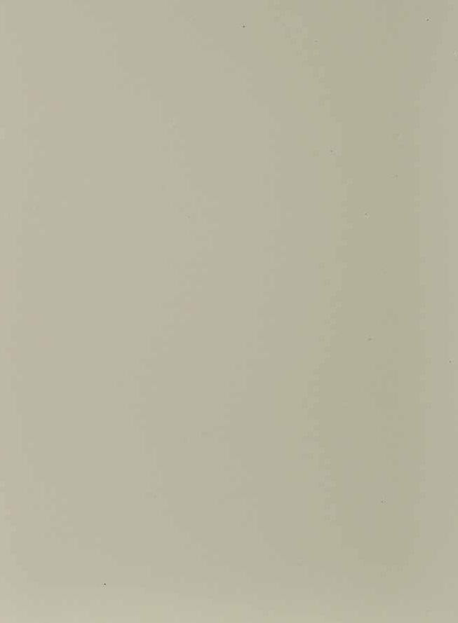 Taupe Plain Laminate 8x4 ft Texture 1 mm - 158 AFP