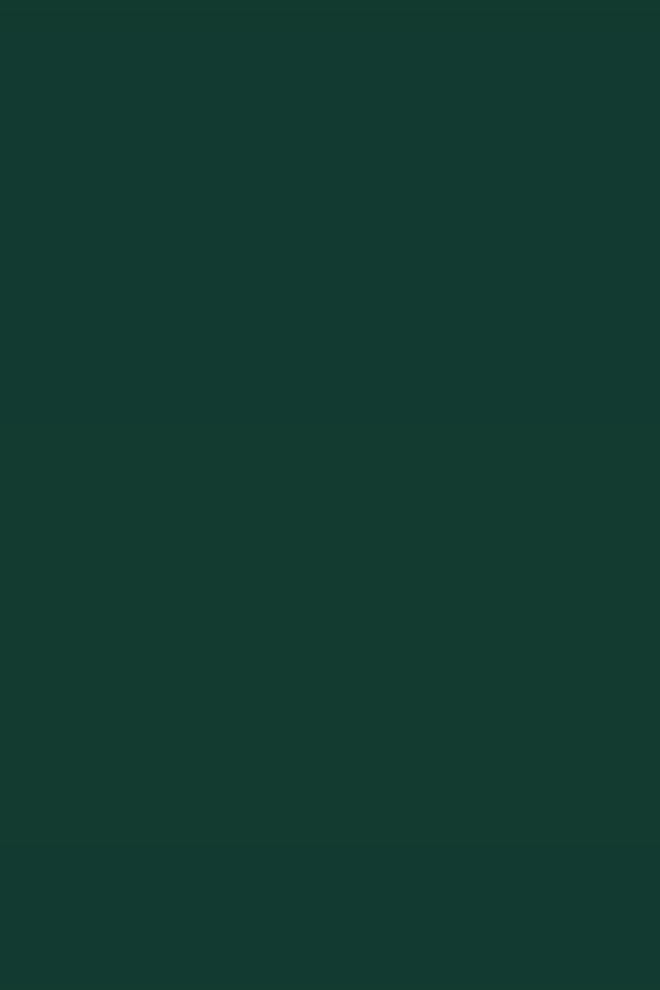 Bottle Green Plain Laminate 8x4 ft High Gloss 1 mm - 158 SMR