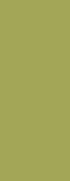 Green plain laminate with high gloss finish, smooth texture, and uniform color.